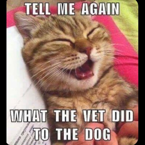 🎈CLOSED! 🎈 FIND F.GAME #14 🌟 Go to Women, Other #14.🌷TY! - Picture 6 of 16